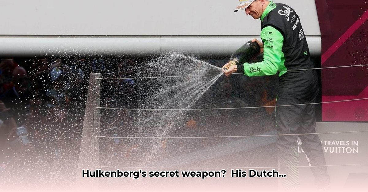 hulkenberg-nederlands